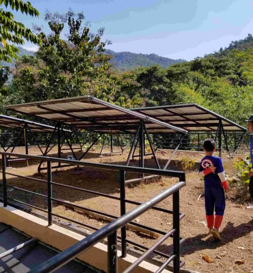 Man and boy in front of four large solar panels in front of a forest and mountains