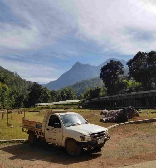 Pickup truck in front of simple building with mountains and forest in the background