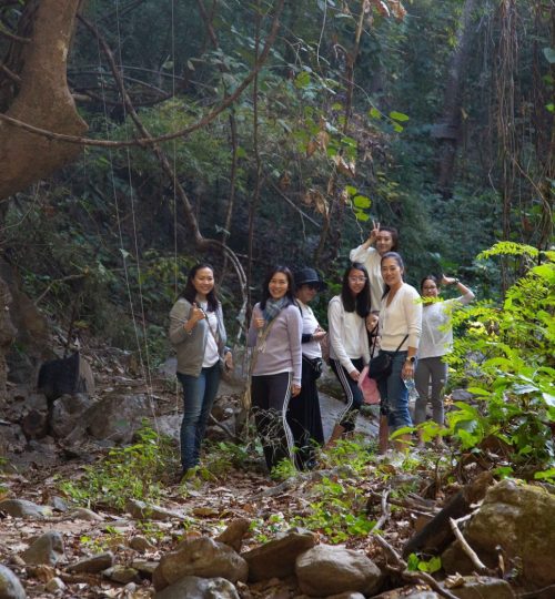 Group of volunteers standing in a forest